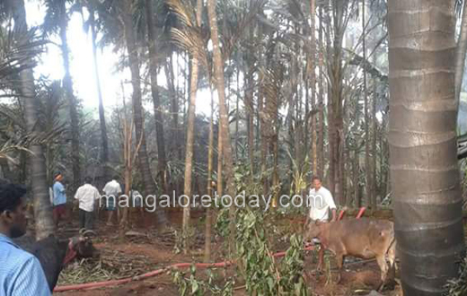 Kumta tanker explodes
